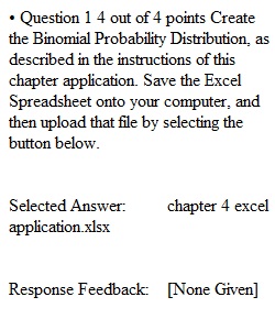 Chapter 4 Excel  Quiz